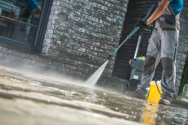 Trusted Louisa, VA Pressure Washing Services Experts